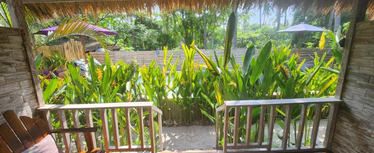 Purple - Maithelia - Gasthof Gili Air